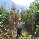 A farmer and his successful crop A farmer and his successful crop