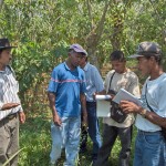 Explaining the Guama Model