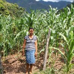 A farmer and her crop