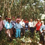 Local farmers visiting an inga alley system