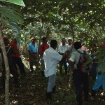 Local farmers visiting an inga alley system